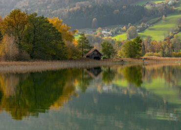 Irrsee im Herbst . Josef Pult . Schwanenstadt